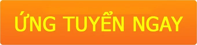 Ứng tuyển nhân viên XTmobile