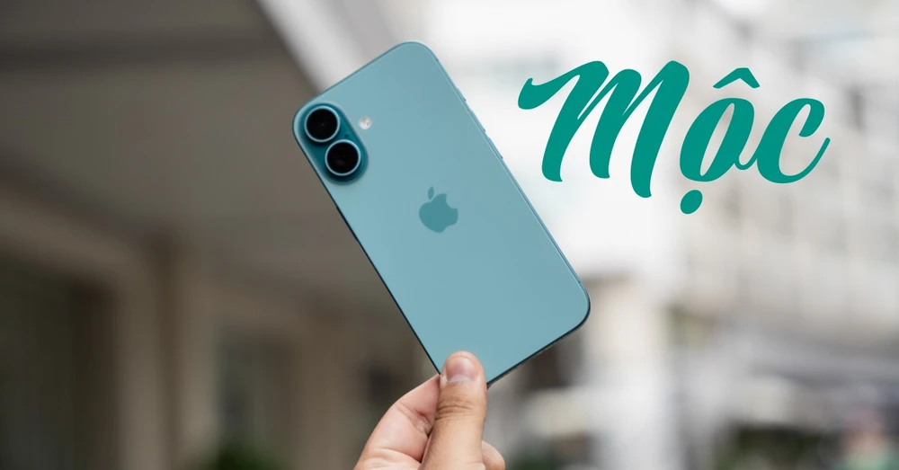 Mệnh Mộc nên mua điện thoại màu gì? Cách chọn điện thoại phù hợp với mệnh Mộc