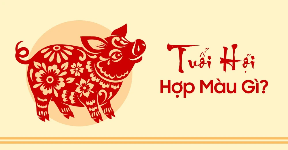 Năm 2024 tuổi Hợi hợp màu nào? Top điện thoại màu hợp tuổi Hợi