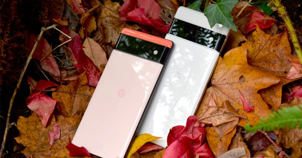 Google Pixel 6 vs Google Pixel 6 Pro: Nhiều khác biệt đến bất ngờ