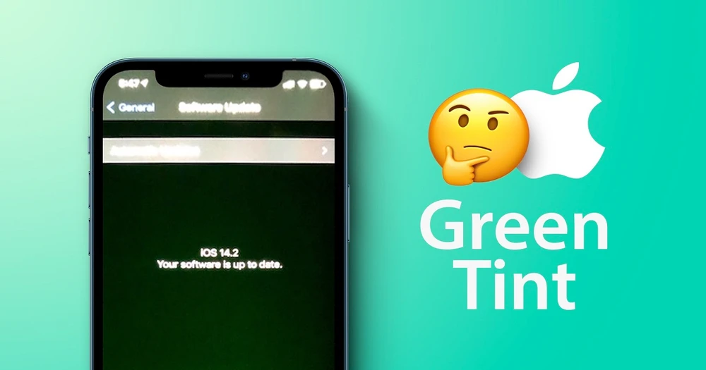 Cách kiểm tra iPhone 12 có lỗi màn hình xanh hay không để tránh trước khi chọn mua