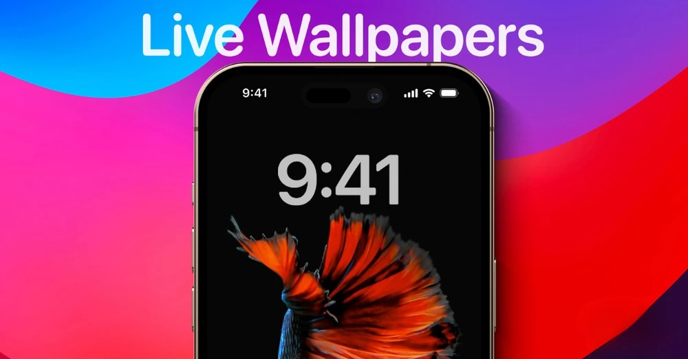 Hướng dẫn cách cài hình nền động cho iPhone siêu đơn giản