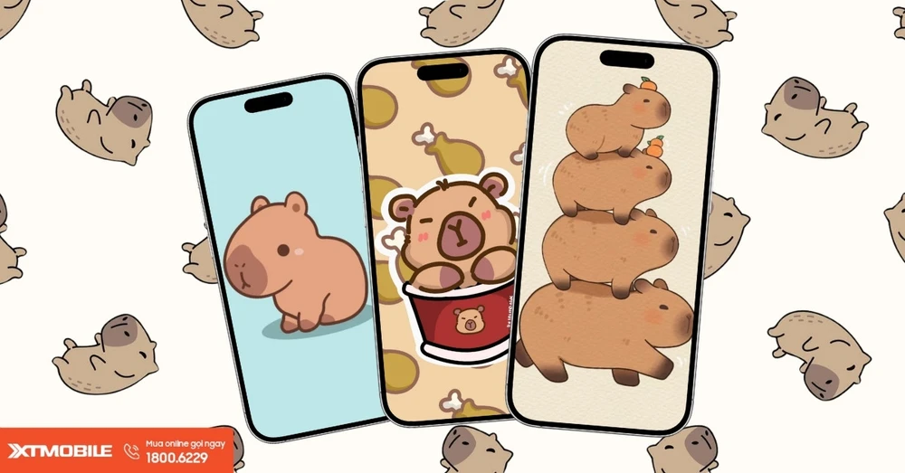 Tải 50+ hình nền Capybara cute, dễ thương, vô tri cho điện thoại và máy tính