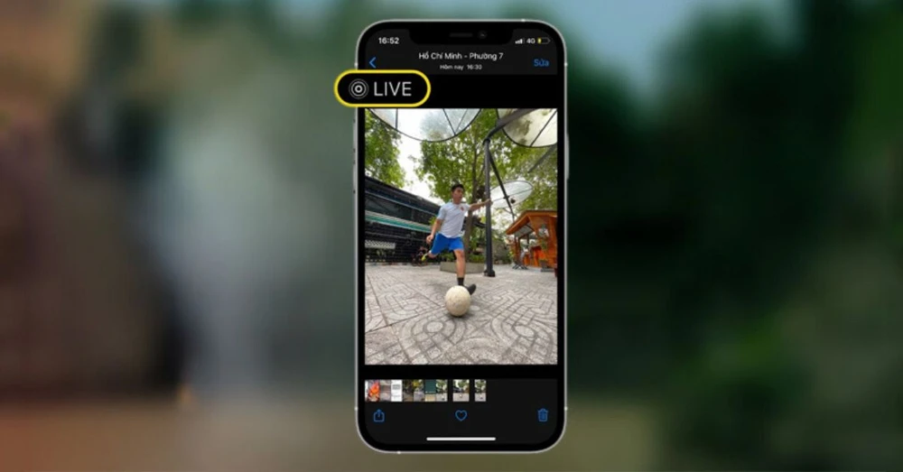 Live Photo là gì? Cách sử dụng Live Photo trên iPhone chi tiết 2024
