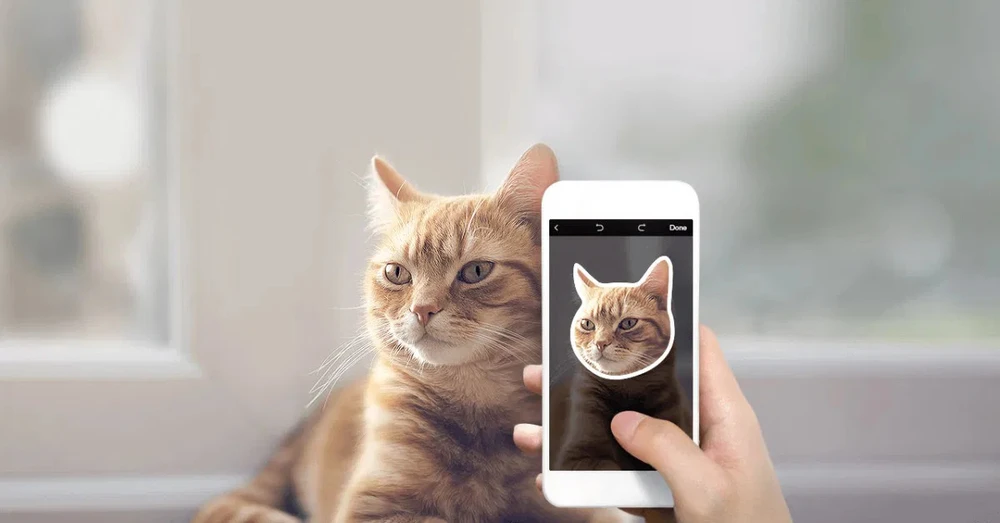 Hướng dẫn cách tạo sticker từ ảnh trên điện thoại Android và IOS mới nhất