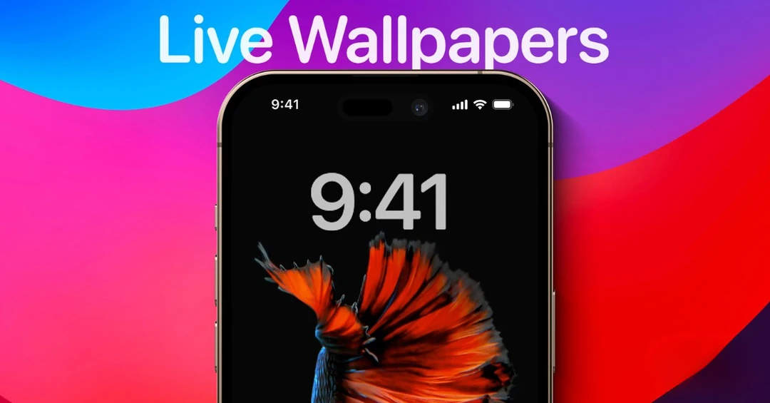 Hướng dẫn cách cài hình nền động cho iPhone siêu đơn giản
