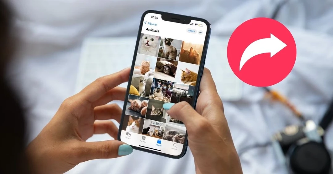 Tổng hợp app chia sẻ ảnh với bạn bè và gia đình mà bạn nên biết