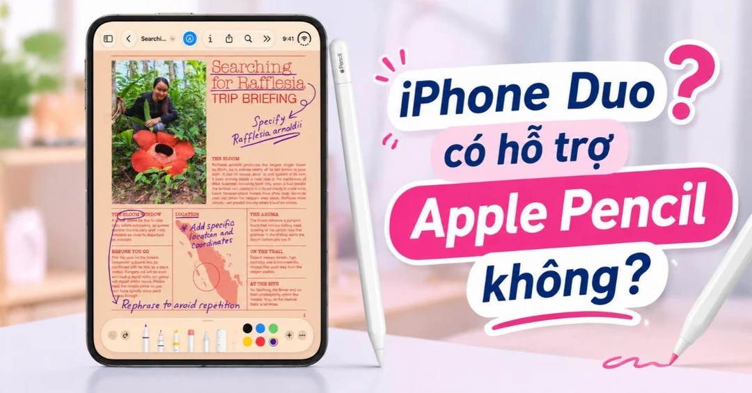 iPhone Duo có hỗ trợ Apple Pencil không? Tương thích với bút nào?