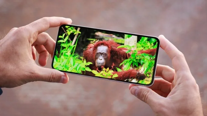 Màn hình Samsung S24 FE và OPPO Reno 13 Pro