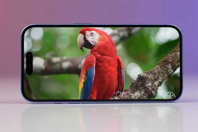 Cả hai điện thoại iPhone 17e và iPhone 16 đều được trang bị màn hình OLED Super Retina XDR 6,1 inch