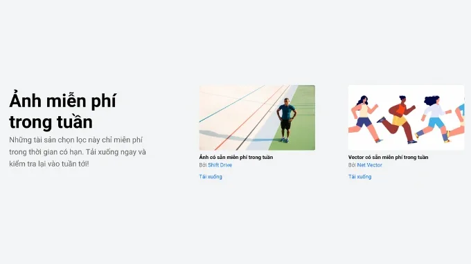 Cách tải ảnh miễn phí trên Shutterstock