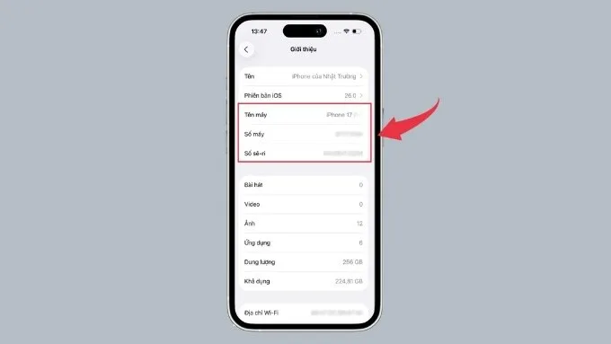 Kiểm tra IMEI và thông tin thiết bị