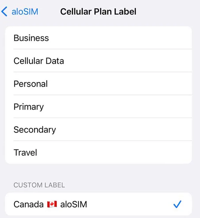 Cách đặt tên eSIM trên iPhone