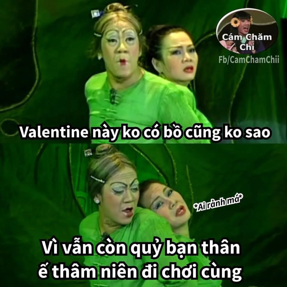 Ảnh chế meme Valentine dành cho người độc thân