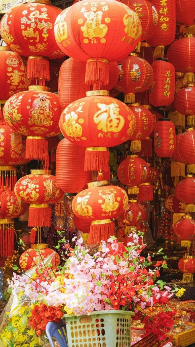 hinh-nen-hoa-dao-tren-dien-thoai-20-xtmobile