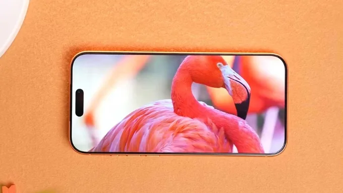 iPhone 17 Pro Max sở hữu màn hình OLED với độ phân giải 2622 x 1206 pixel, hỗ trợ tần số quét ProMotion 120Hz