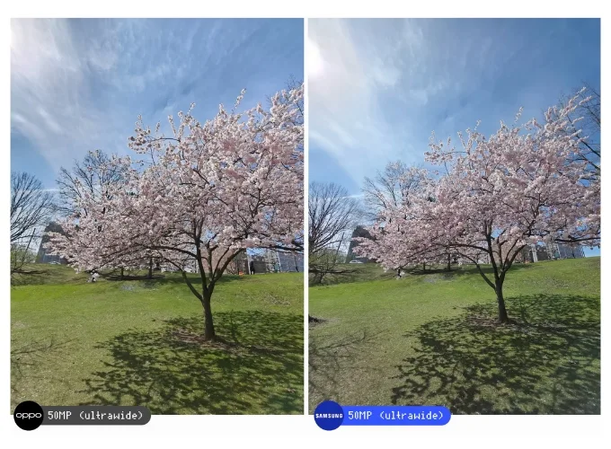 So sánh camera góc siêu rộng của Find X8 Ultra và S25 Ultra