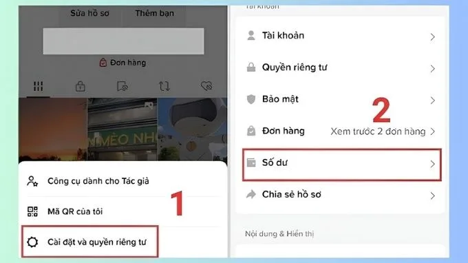 Vào Quyền riêng tư và Cài đặt, chọn Số dư