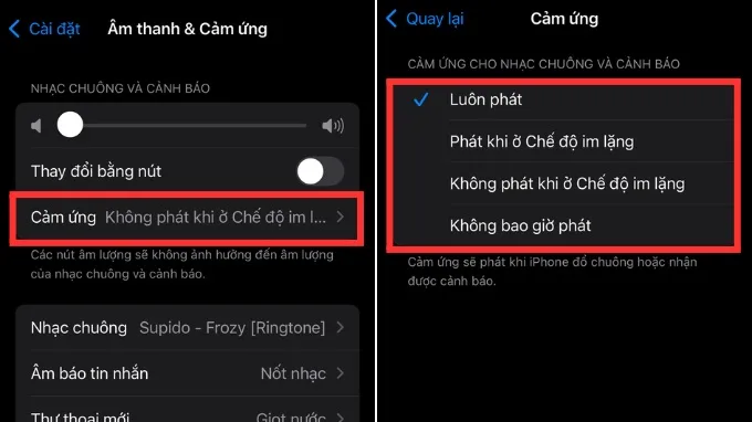 Cách chỉnh chế độ rung trên iPhone chi tiết