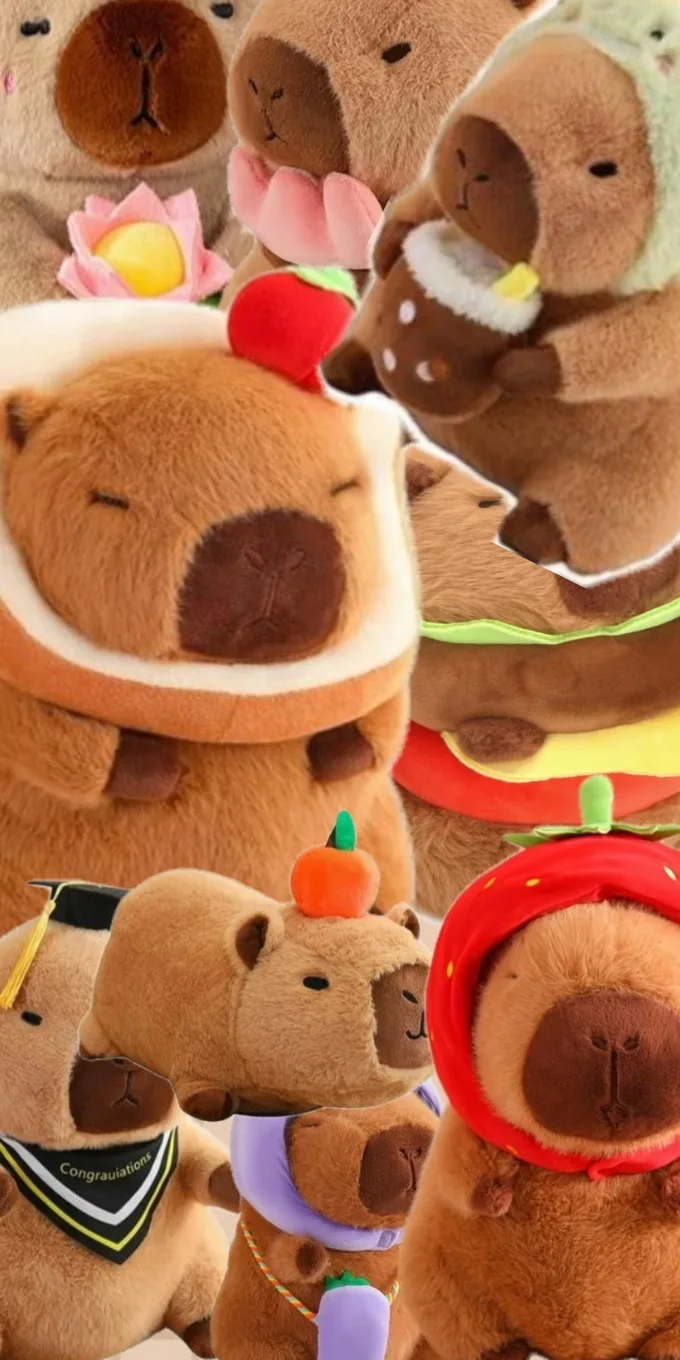 Hình nền Capybara vô tri, dễ thương
