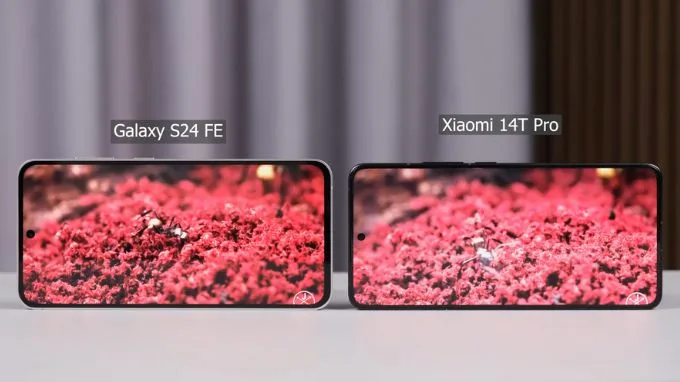 So sánh màn hình Xiaomi 14T Pro và Samsung S24 FE
