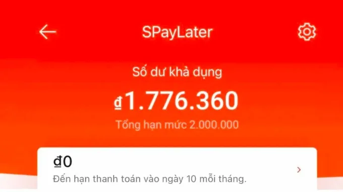 Tổng quan về SpayLater