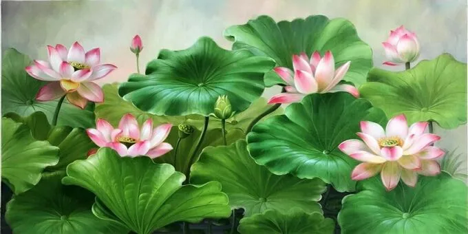 Những hình nền hoa sen cho máy tính
