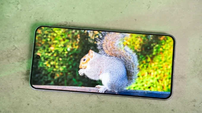 Vivo X200s