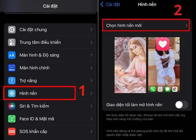 Hướng dẫn cài ảnh nền trên điện thoại iPhone 15 và iPhone 15 Pro Max