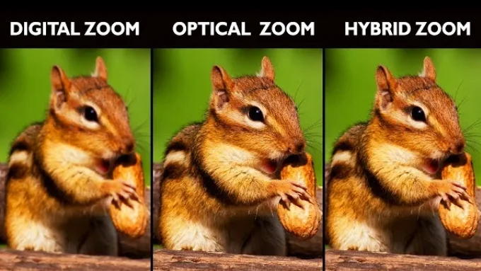 Zoom quang học và Zoom kỹ thuật số là gì và các loại Zoom thường gặp