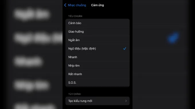 Cách chỉnh chế độ rung trên iPhone chi tiết