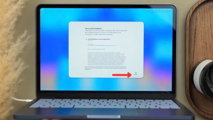 Bước 6: Đồng ý điều khoản sử dụng