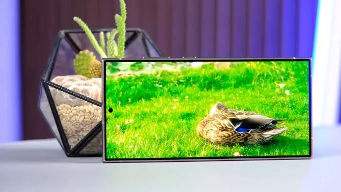 Màn hình Samsung S24 Ultra cũ hiển thị cực nét
