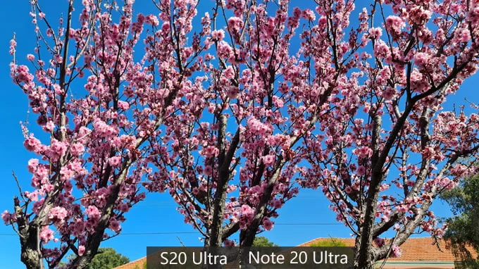 Ảnh chụp bằng Galaxy S20 Ultra và Note 20 Ultra điều kiện bình thường