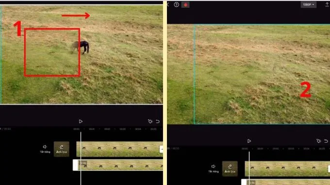 Xóa vật thể trong video bằng CapCut trên điện thoại