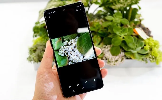 Camera Galaxy A51 có khả năng chụp macro nghệ thuật
