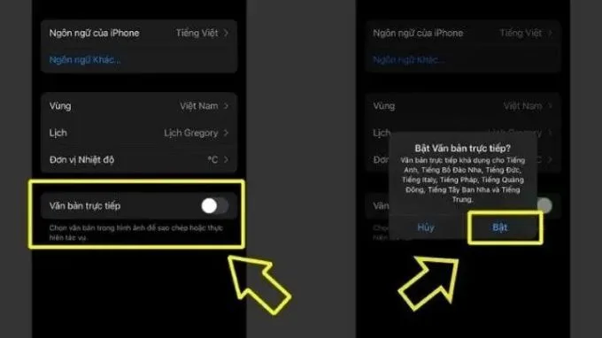 Cách dịch văn bản, ngôn ngữ bất kỳ trực tiếp trên điện thoại iPhone