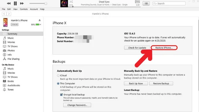 Hạ cấp xuống iOS 17 từ phiên bản iOS 18 beta