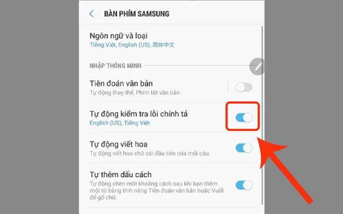 Gạt thanh trạng thái sang phải để Bật tính năng Tự động kiểm tra lỗi chính tả
