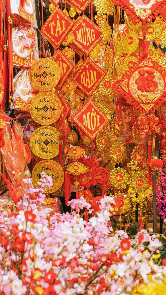 hinh-nen-hoa-dao-tren-dien-thoai-19-xtmobile
