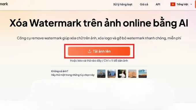 Cách xóa watermark bằng Dewatermark AI