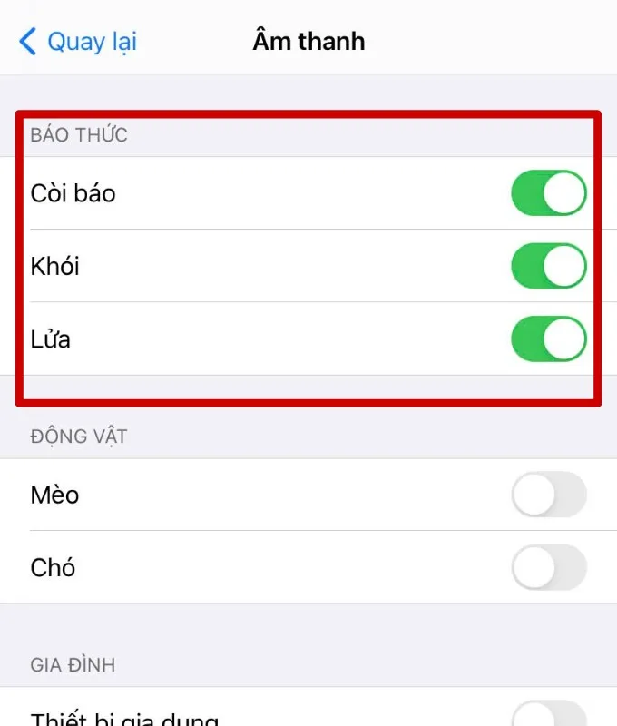 Cách bật tính năng Nhận dạng âm thanh (báo cháy) trên iPhone