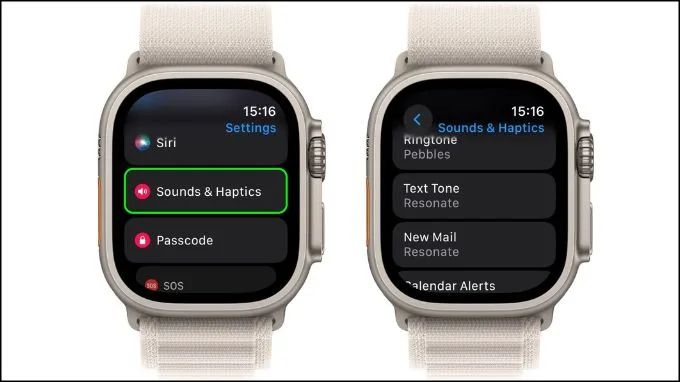 Thay đổi âm báo trên Appe Watch