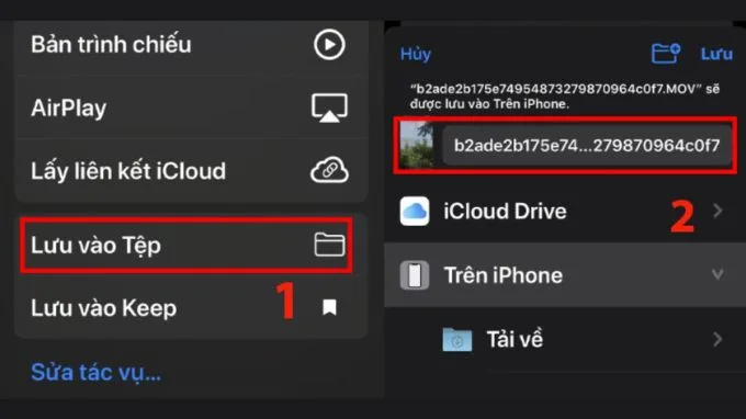 Lưu ảnh từ iCloud xuống iPhone nhanh chóng