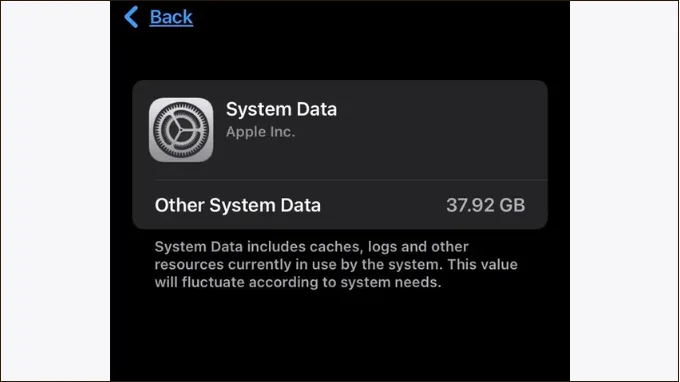 Dữ liệu hệ thống trên iPhone là gì