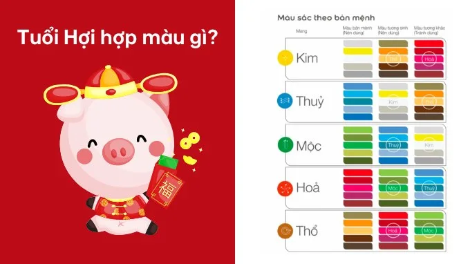 Tuổi Hợi hợp màu nào?