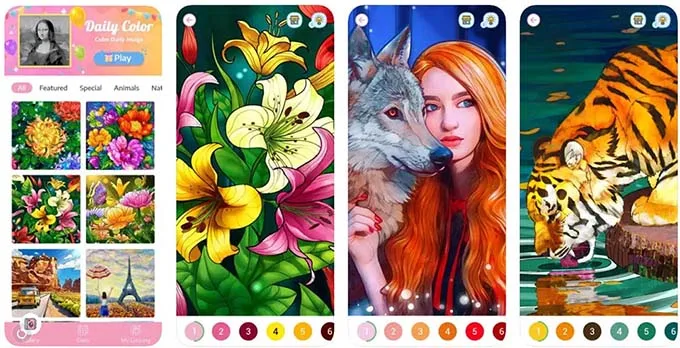 Coloring Book: Color by Number