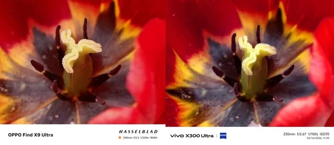 So sánh ảnh chụp ban ngày của camera tele OPPO Find X9 Ultra và Vivo X300 Ultra