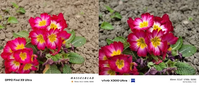 So sánh ảnh chụp ban ngày của camera tele OPPO Find X9 Ultra và Vivo X300 Ultra