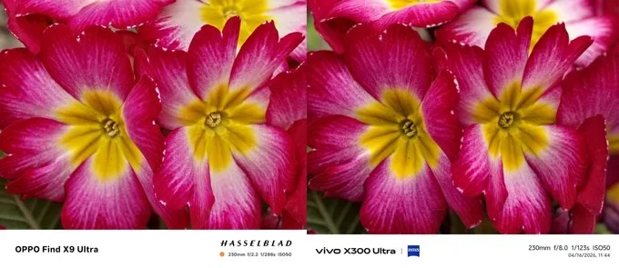 So sánh ảnh chụp ban ngày của camera tele OPPO Find X9 Ultra và Vivo X300 Ultra